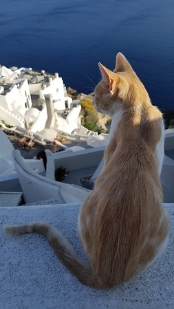Greece 20190902_100539