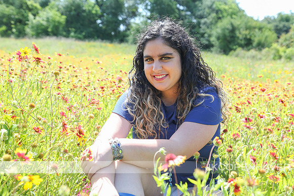 Field of Blooms