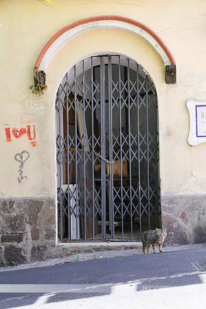 Ischia Italy -0617