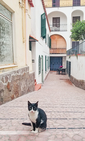 Ischia Italy creative-132238